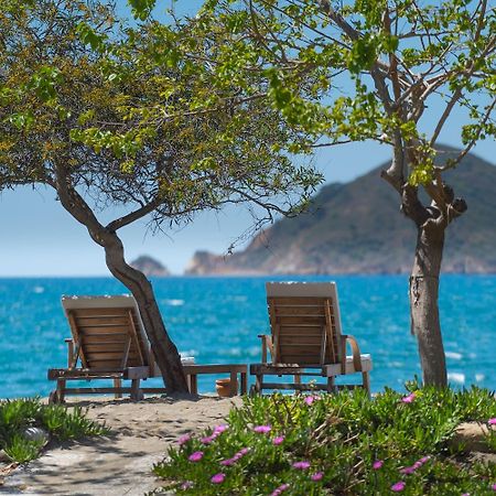 Yonca Lodge フェティエ エクステリア 写真