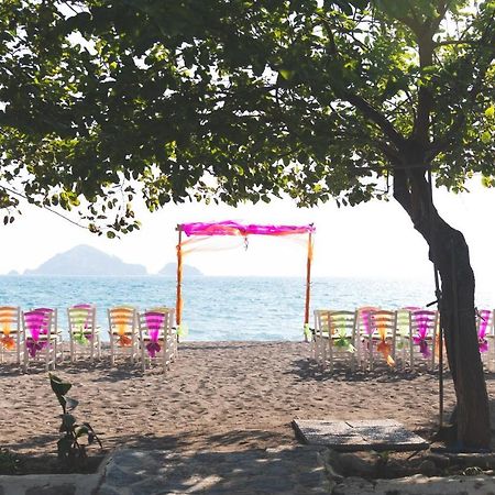 Yonca Lodge フェティエ エクステリア 写真