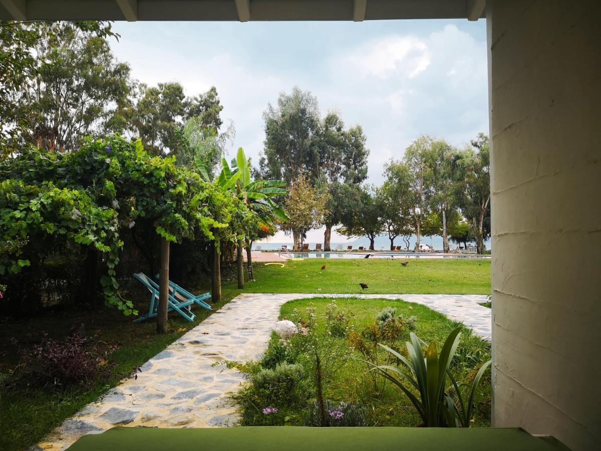 Yonca Lodge フェティエ エクステリア 写真